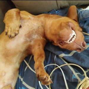 Meet your Posher, Travis